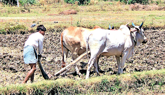 అర్హులకు దక్కని కిసాన్‌ సమ్మాన్‌