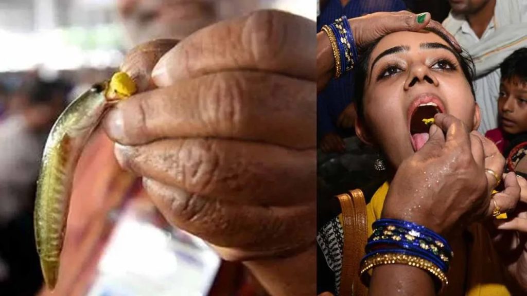 నాంపల్లి ఎగ్జిబిషన్‌ గ్రౌండ్‌ లో నేడు, రేపు చేప ప్రసాదం పంపిణీ..