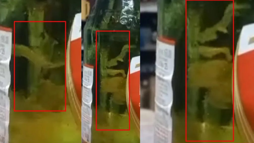 చిల్డ్‌ బీర్‌ వేద్దామని లైట్ బీర్ కొన్నాడు.. బాటిల్‌ను గమనించగా ఊహించని షాక్‌