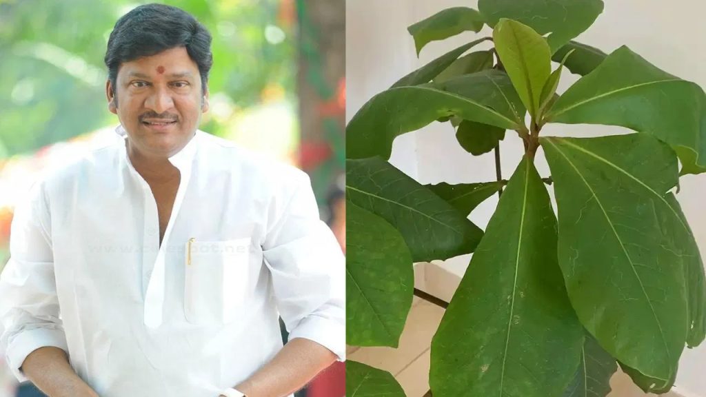 బాదం ఆకులు లేవని ఆగిపోయిన షూటింగ్.. చివరకు ఏం జరిగిందంటే..