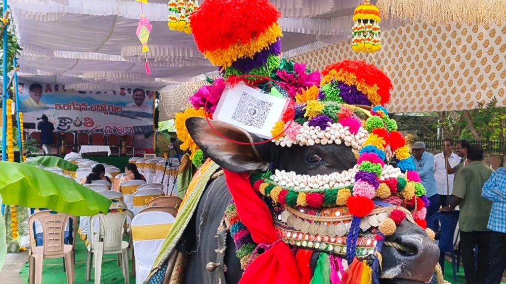గంగిరెద్దుకు క్యూఆర్​ కోడ్​.. జనరేషన్ మారింది గురూ