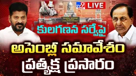 తెలంగాణ అసెంబ్లీలో కులగణన, ఎస్సీ వర్గీకరణపై చర్చ.. సీఎం ప్రకటన
