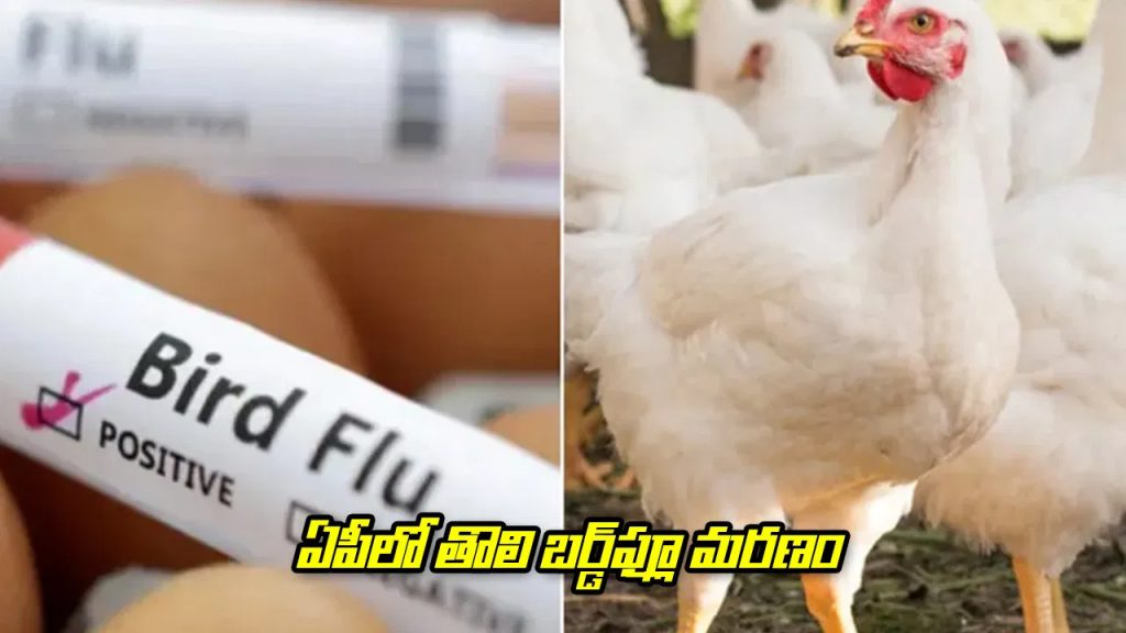ఏపీలో బర్డ్‌ఫ్లూతో రెండేళ్ల చిన్నారి మృతి.. ఈ లక్షణాలు ఉంటే అస్సలు నిరక్ష్యం వద్దు