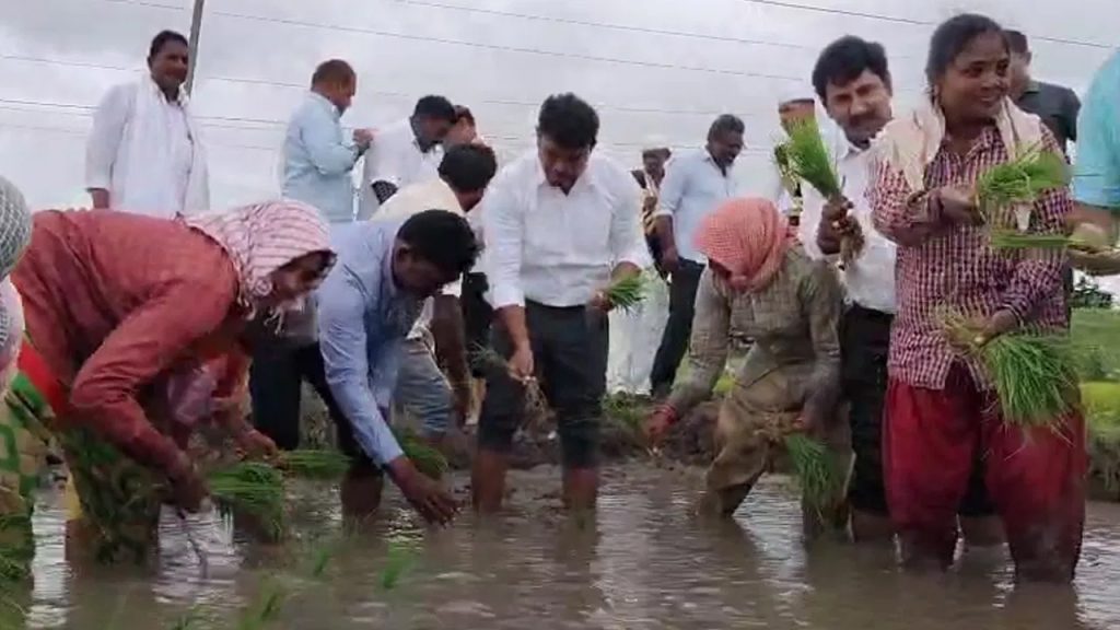 శభాష్ ఆఫీసర్.. రైతు కూలీగా మారిన కలెక్టర్.. వరి నాట్లు వేసి ఏం చెప్పారంటే..