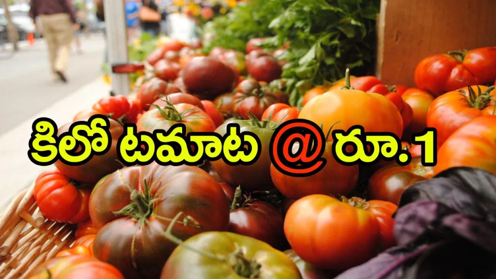 ‘టమాటా’ ధరలు ఢమాల్‌.. కిలో కేవలం రూ.1 మాత్రమే! ఎక్కడంటే..