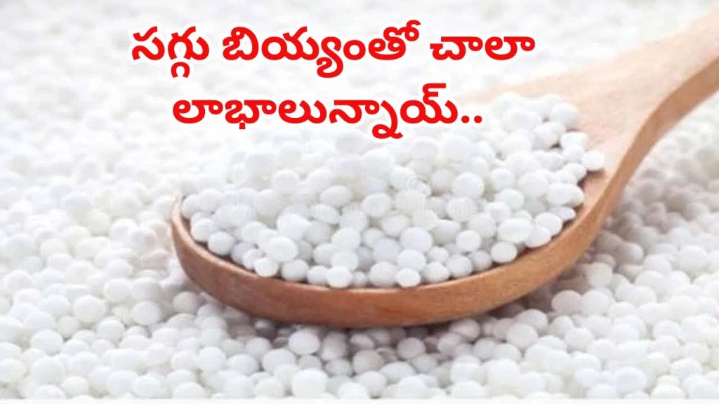 సగ్గు బియ్యం ప్రయోజనాలు తెలిస్తే.. ఎగబడి తింటారు..!