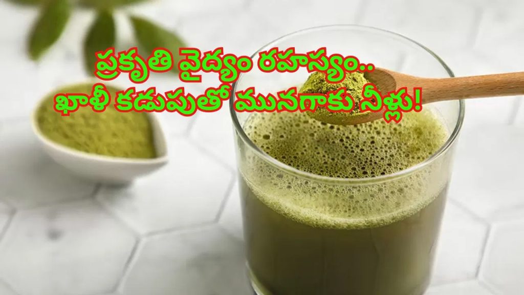 ప్రతిరోజూ ఖాళీ కడుపుతో మునగాకు నీళ్లు తాగుతున్నారా..? శరీరంలో జరిగేది తెలిస్తే..