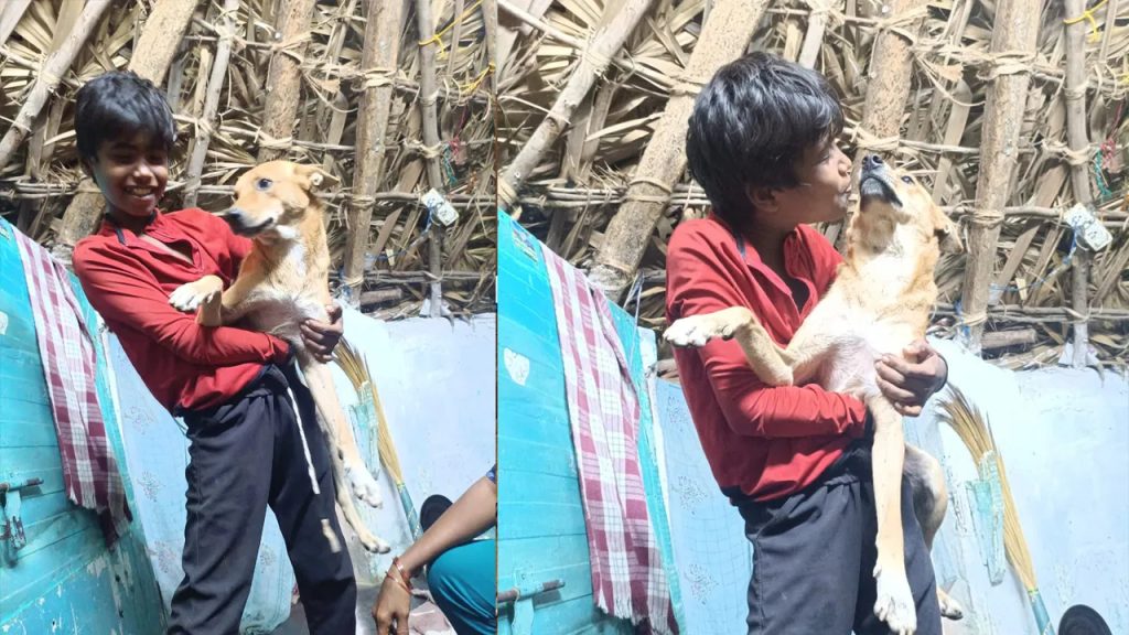 ఆడుకున్న కుక్కే చిన్నోడి మరణానికి కారణమైంది.. అత్యంత విషాదకర మరణం..