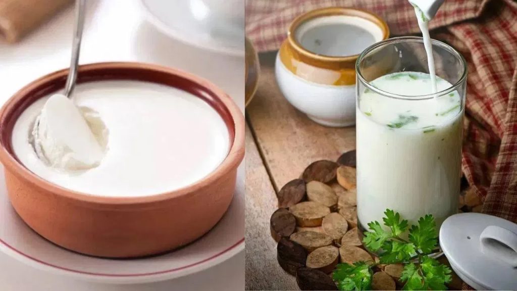 వేసవిలో పెరుగు తినాలా? లేదంటే మజ్జిగ తాగాలా? ఏది ఆరోగ్యానికి మంచిది..