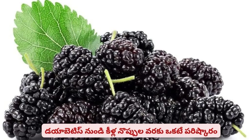 సమ్మర్‌‌లో మధురమైన ఫ్రూట్..! ఈ చిన్న పండులో దాగున్న హెల్త్ సీక్రెట్స్‌ ఇవే