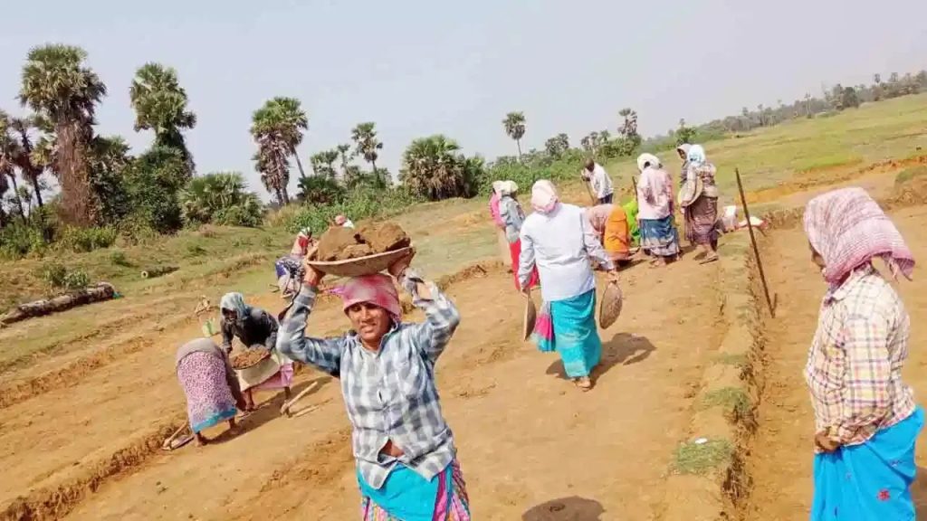ఉపాధి హామీ పనులకు ట్రాక్టర్లో బయలుదేరిన కూలీలు.. కాసేపటికే.. అయ్యో భగవంతుడా..