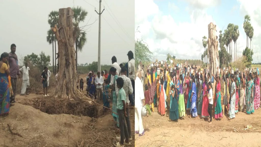 బ్రహ్మం గారి మహిమేనా.. నరికినా లేచి నిలబడ్డ రావిచెట్టు.. ఎక్కడో తెలుసా..?