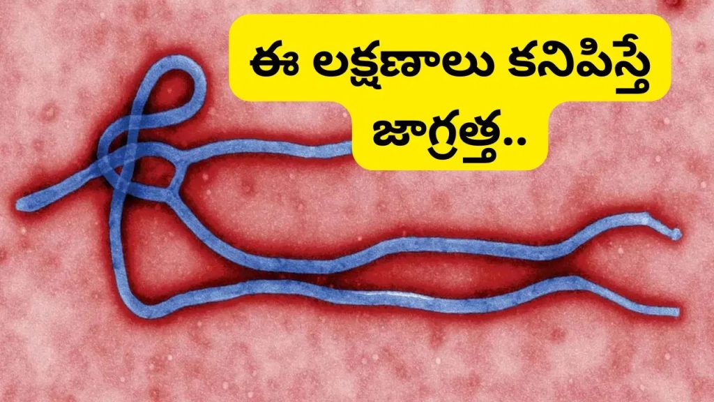 ఎబోలా వైరస్ విజృంభణ.. అలాంటి వారు ఐసోలేట్ అవ్వాలి: కేంద్ర ప్రభుత్వం కీలక ప్రకటన..